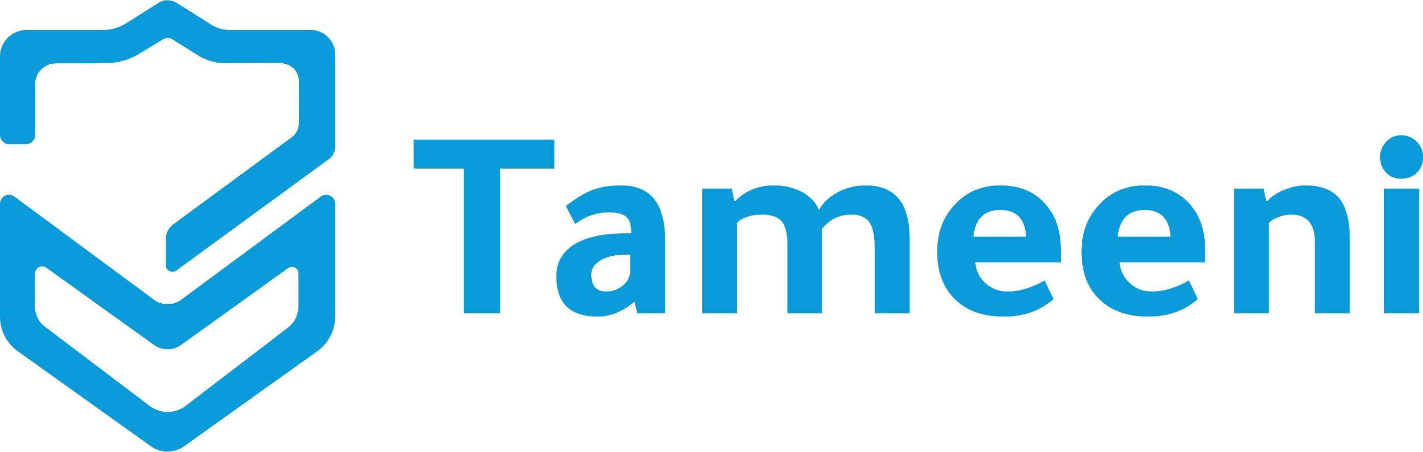 Tameeni